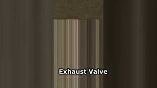 87618353-0 Auslassventil