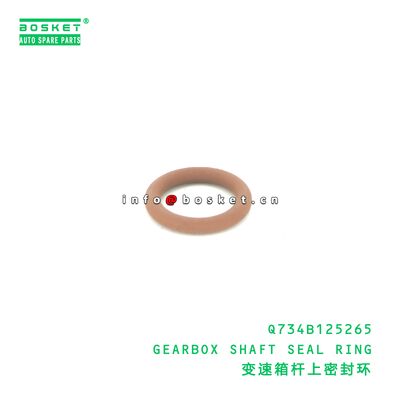 Q62404 HEXAGONAL CONICAL PLUG - OIL DRAIN PLUG suitable for JAC  Q62404